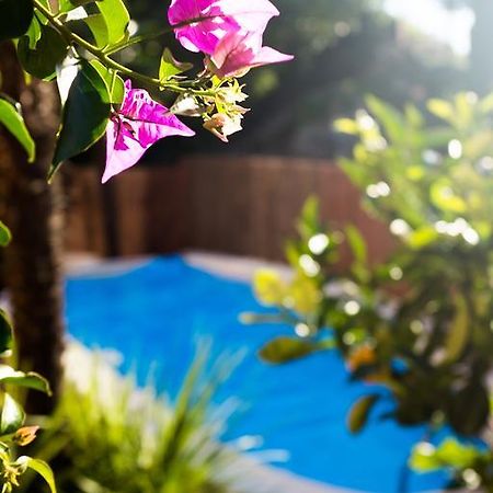 Villa Fiore توربولي المظهر الخارجي الصورة