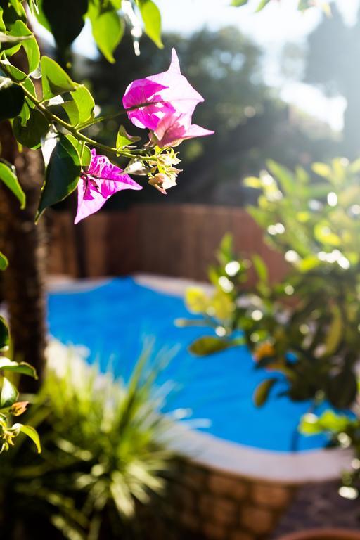 Villa Fiore توربولي المظهر الخارجي الصورة